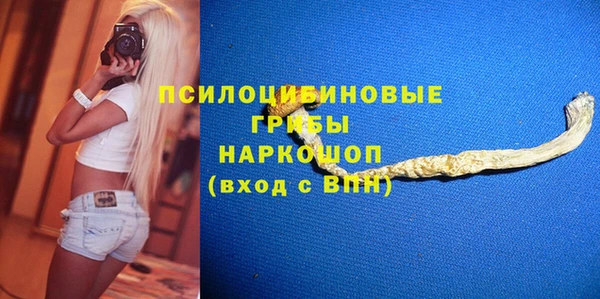 соль курить ск Каменка
