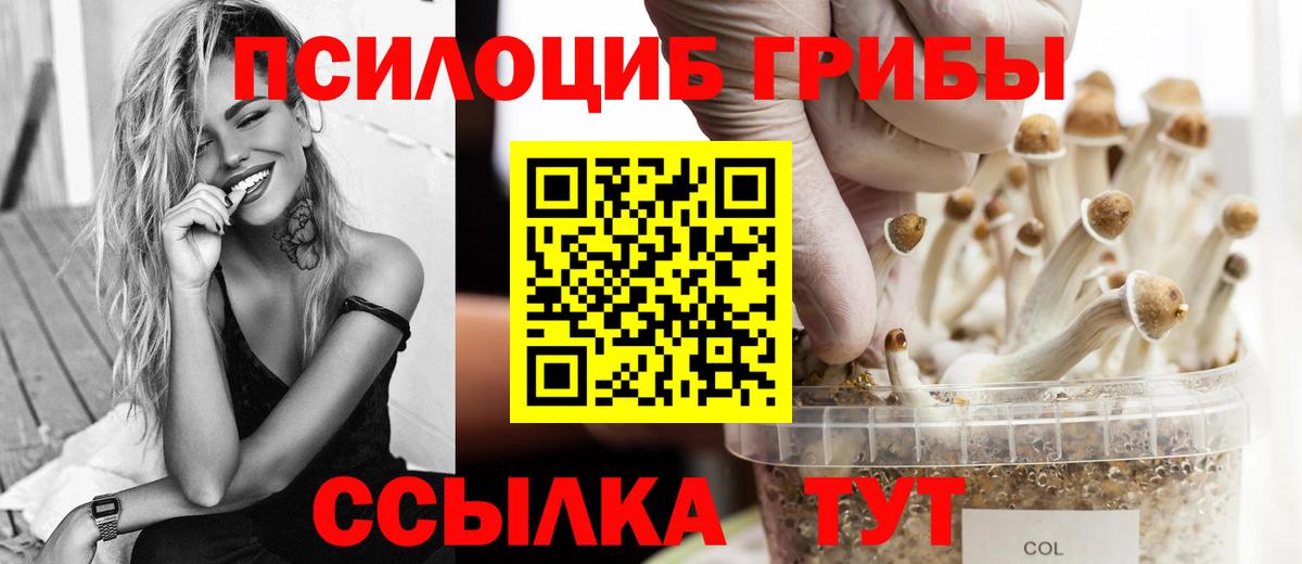 Луховицы  Псилоцибиновые грибы GOLDEN TEACHER  Галлюциногенные грибы Psilocybine cubensis  Вход с VPN 
